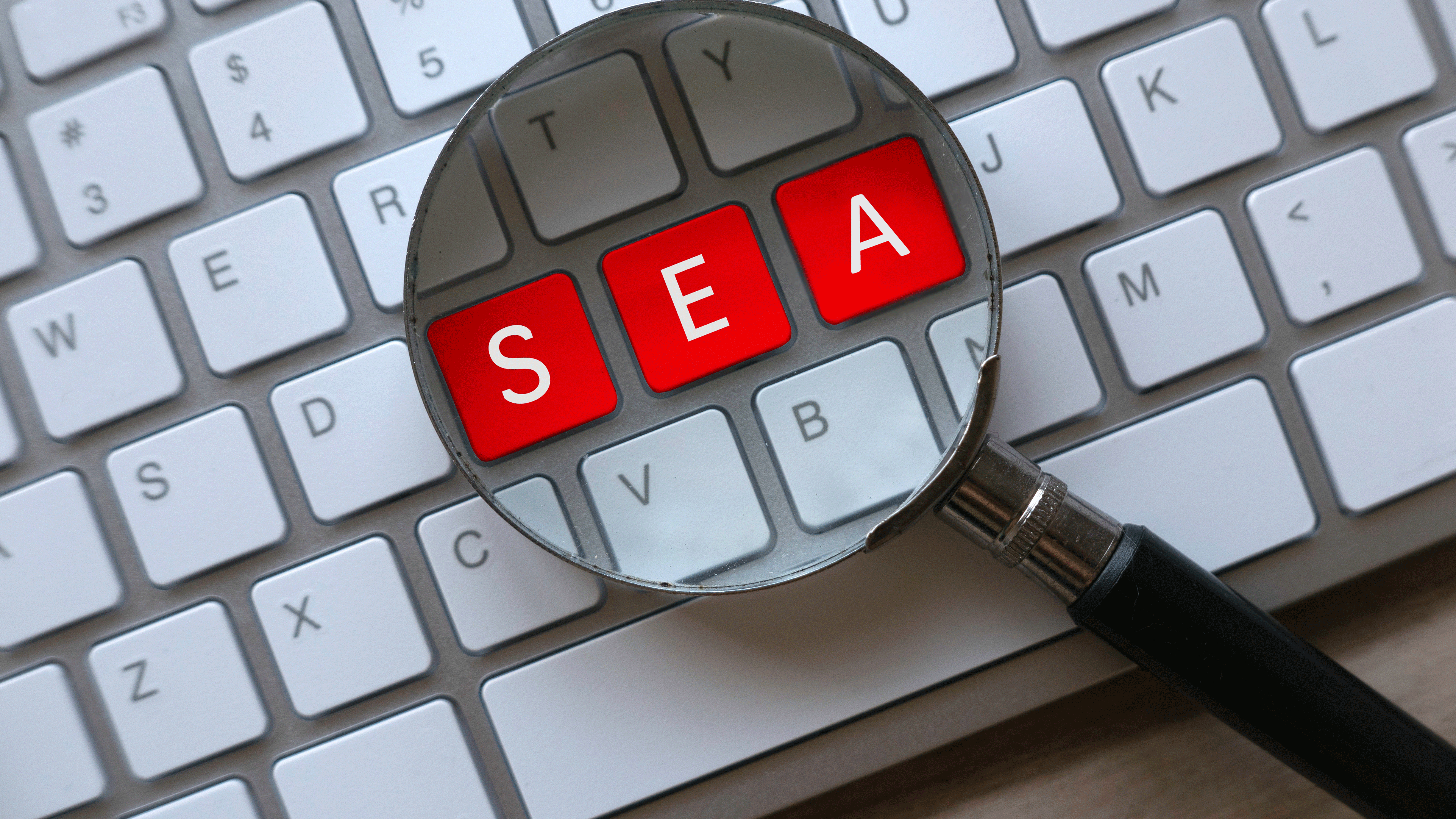SEA (Search Engine Advertising)