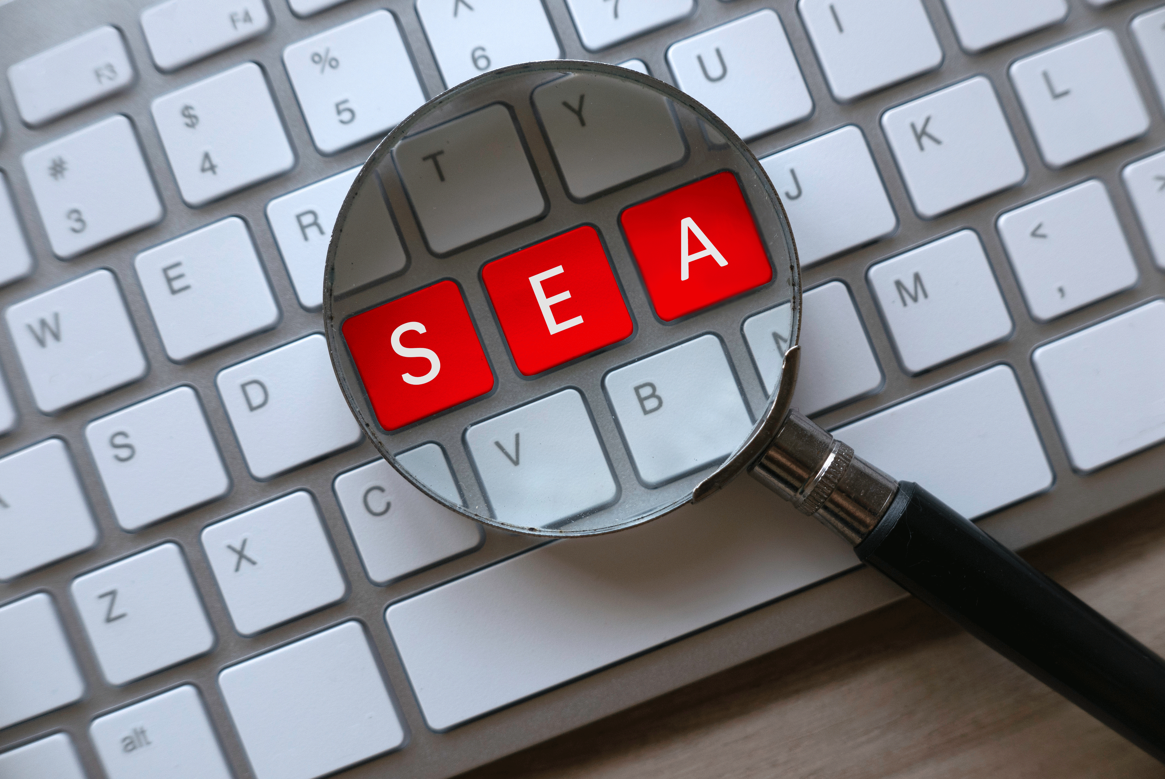 SEA (Search Engine Advertising)